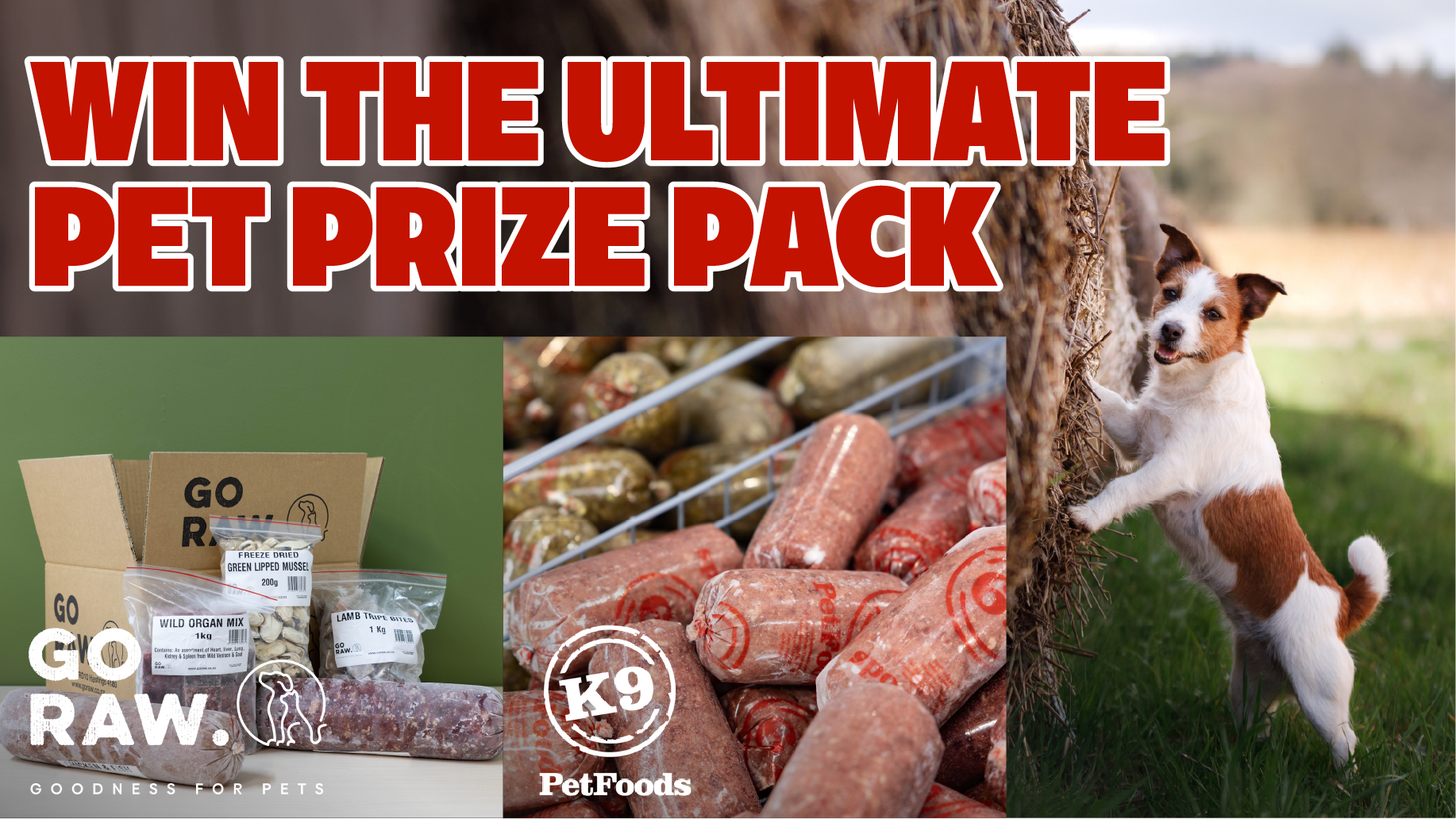 HAWKE'S BAY: WIN with K9 Pet Foods this Christmas