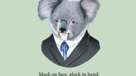 Well Dressed Animals and Suitable Lyrics
