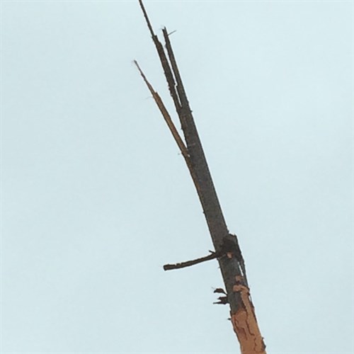 10616706_737058166353948_2873902989729040764_n