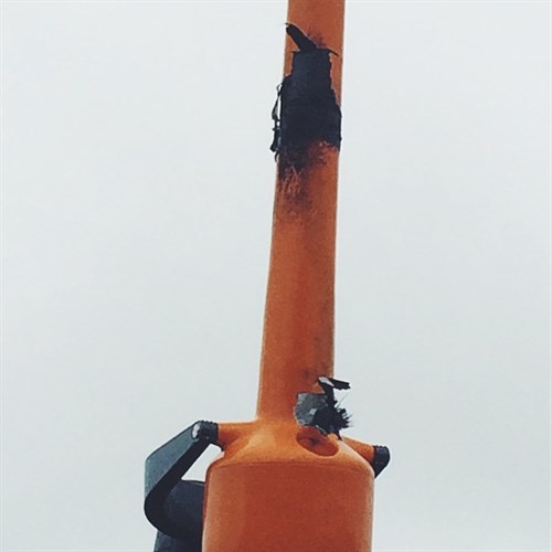 10551071_737058449687253_3608925529623123892_n