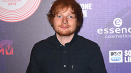 MTV EMAS 2014 Red Carpet Photos