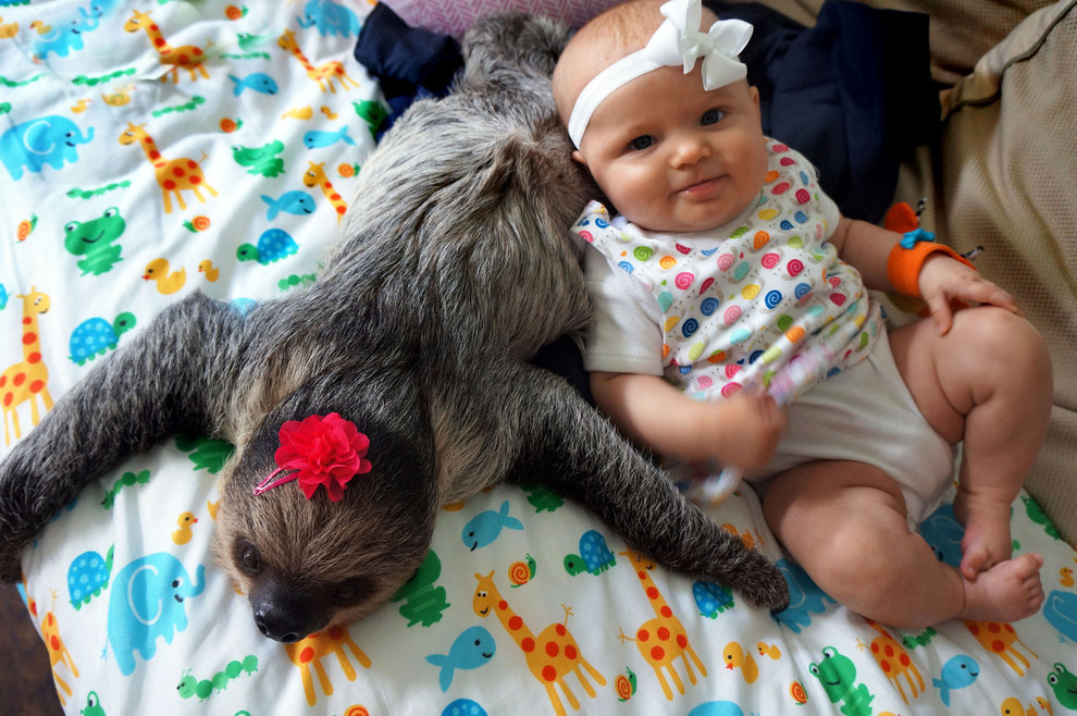This 5-Month-Old Baby and Sloth Have Been Best Friends Since Birth