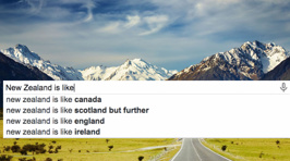 What People Are Googling About New Zealand