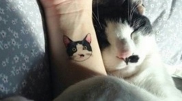 These Are The Coolest Cat Tattoos On The Planet