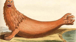 18th Century Nature Artists Had to Draw These Animals Without Ever Seeing Them Before & It's WEIRD