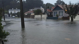 Photos: Flooding In Dunedin