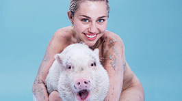 NSFW R16: Miley Cyrus Fully Naked In Paper Magazine Interview!