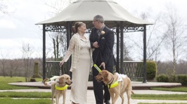 Guide Dog Owners Get Married After Their Pets Fall In Love With Each Other