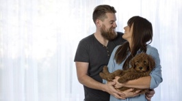 A Couple Did A Newborn Photo Shoot With Their Dog 'Cause People Kept Asking Them About Babies