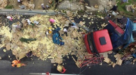 10,000 Chicks Scattered Across Road After Lorry Crash