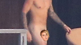 Celebs We Saw Naked in 2015
