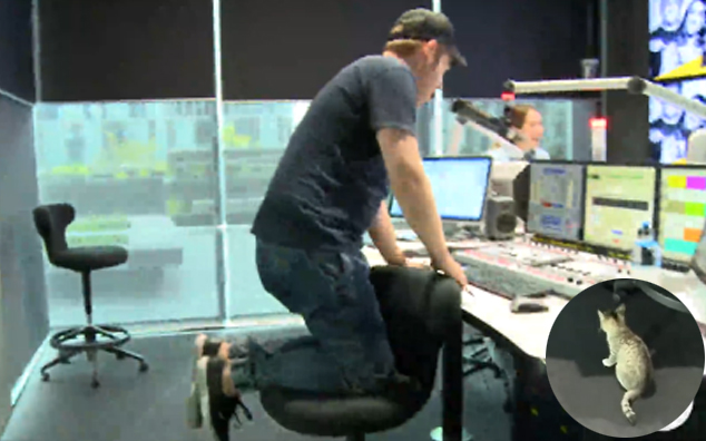 Fletch Introduces A TERRIFIED Jase to A Kitten