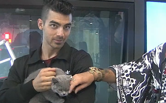 Watch Joe Jonas Fall in Love With Fletch's Cat Karen