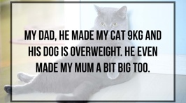 Who’s to Blame For Your Pet's Obesity?