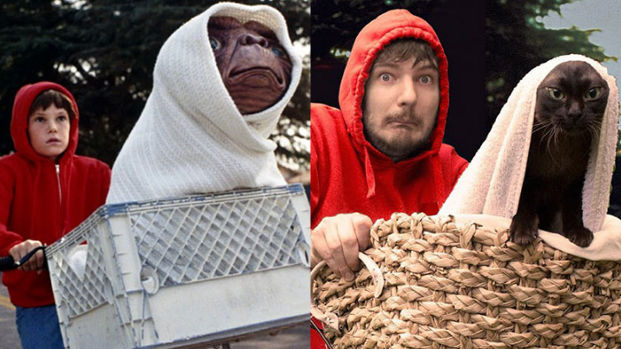 Guy recreates famous movies with his cat and they are purrfect