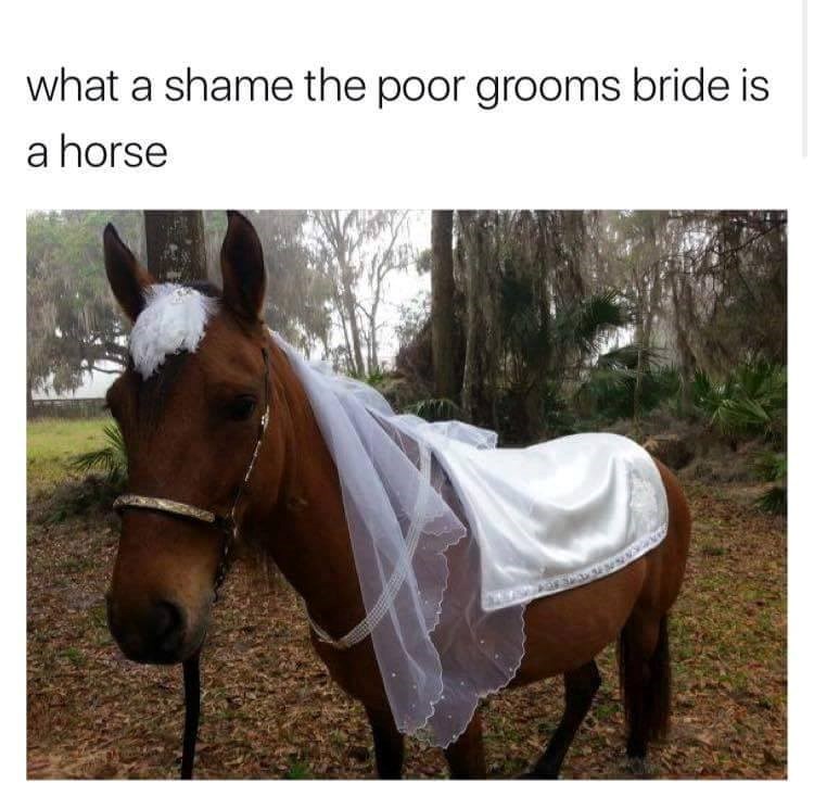 Turns Out We Ve Been Singing I Write Sins Not Tragedies