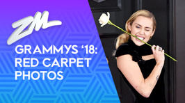 Grammys 2018 Red Carpet photos