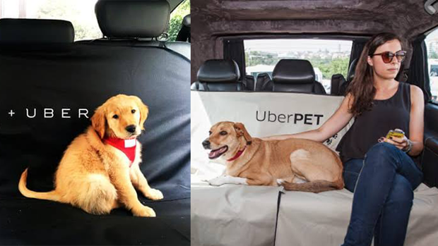 Tauranga Fifth Nz City To Get Ride Sharing Service Uber Starting Today Nz Herald