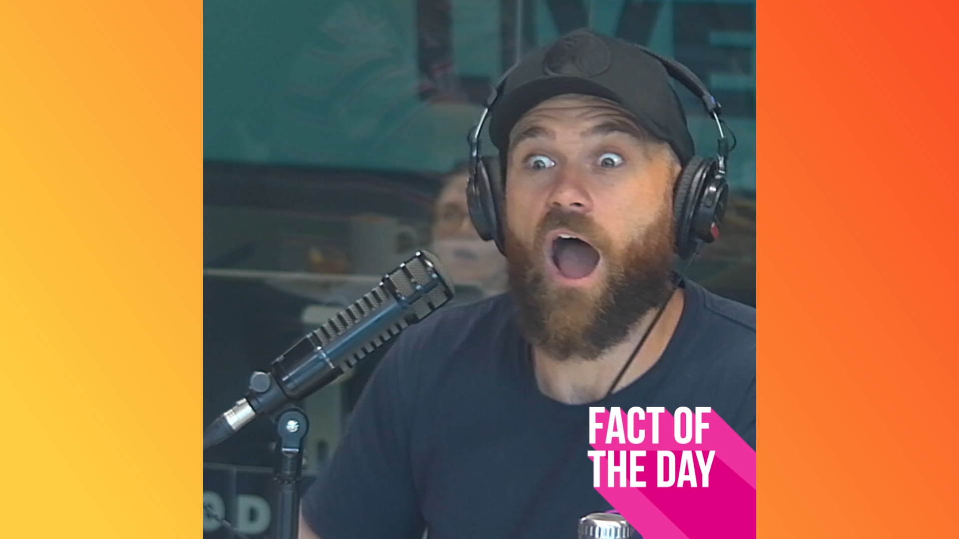 FVM discovered that starfish make noises and it blew their minds