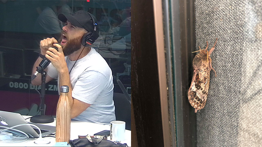 Vaughan pretends to be a moth for five minutes