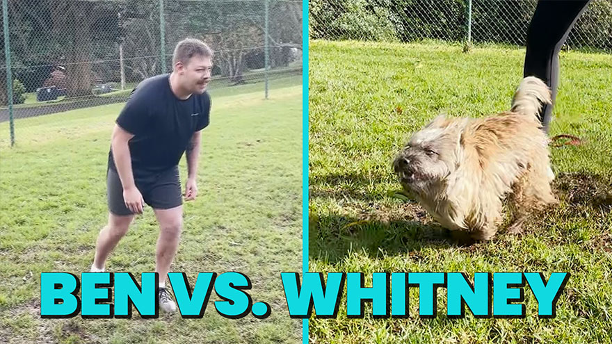 Producer Ben races Bree's dog Whitney