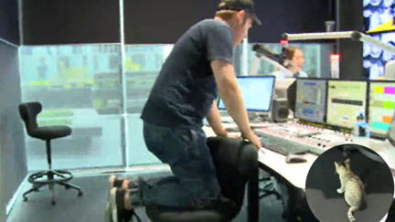 Fletch Introduces A TERRIFIED Jase to A Kitten