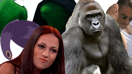 QUIZ: What meme are you?