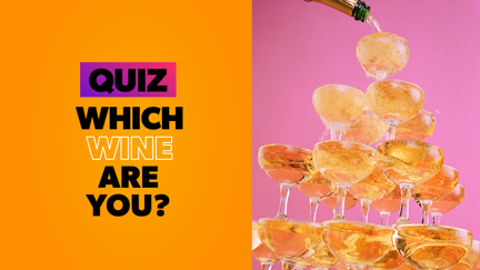 QUIZ: Which type of wine are you?