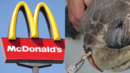 Macca's say 'jogg on' to plastic straws