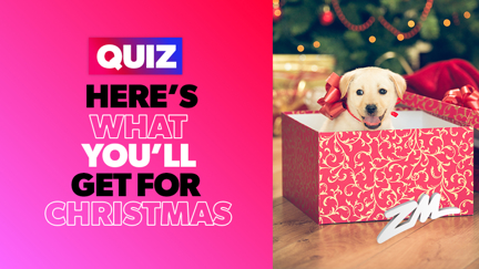 We know what you'll be getting for Christmas this year