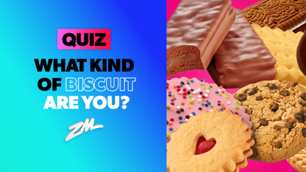 QUIZ: What kind of biscuit are you?