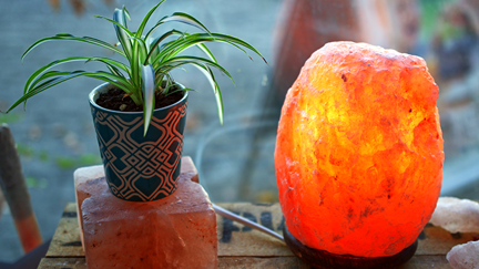 If you own a salt lamp, this PSA is for you!