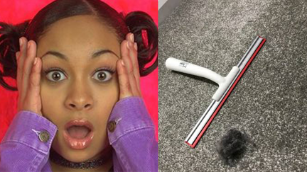 This squeegee hack will remove all that nasty hair from your carpet