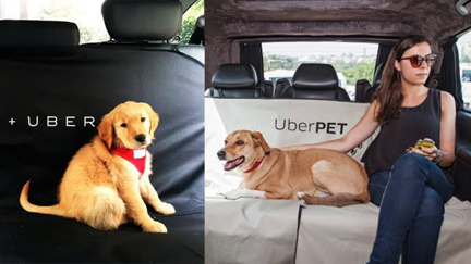 Uber now offers a service for pets!
