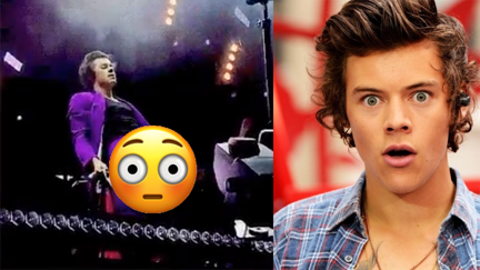 Fannies are a flutter again with this video showing off Harry Styles' d*ck!