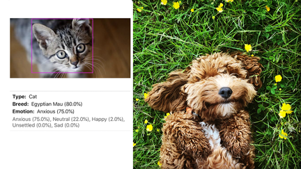 This app will help you know if your pet is happy, sad and more!