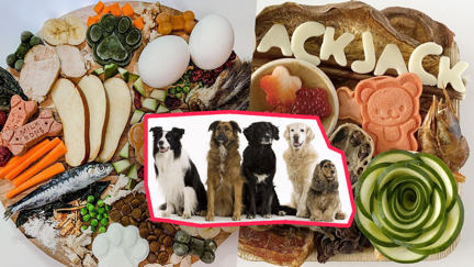 Treat your pet this summer with these epic 'Barkuterie' boards!