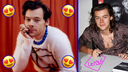 Harry Styles will have to take part in NZ's census when he's here next week!