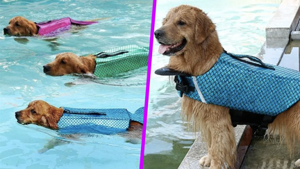 Turn your pooch into a mermaid this summer with this sparkly lifejacket!