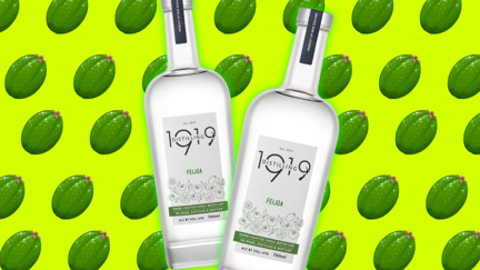Feijoa Gin has landed in NZ and will be perfect for your summer bevvies!