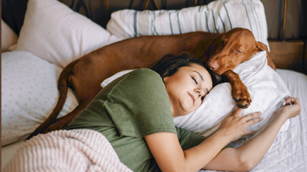 This bed company will pay you a $50,000 salary to lie in bed all day!