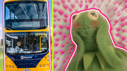 What's up with the fan accounts for buses?